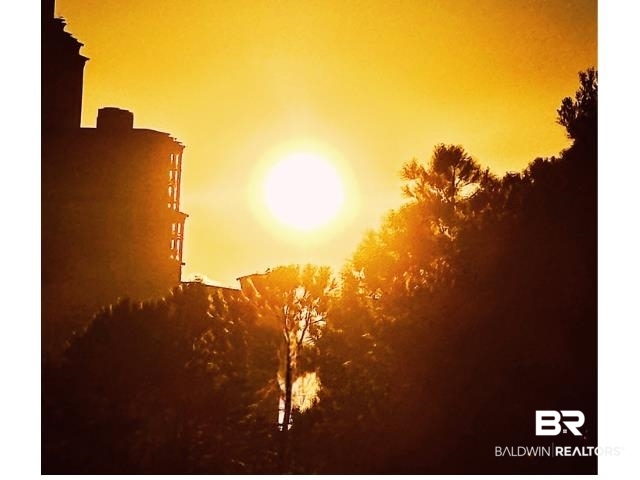 24101 Perdido Beach Boulevard 103-E