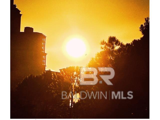24101 Perdido Beach Boulevard 103-E