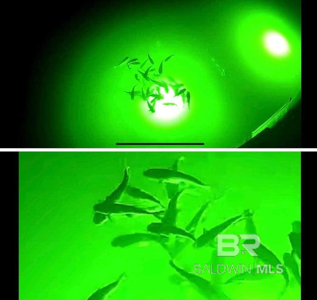 26326 Cotton Bayou Drive 2