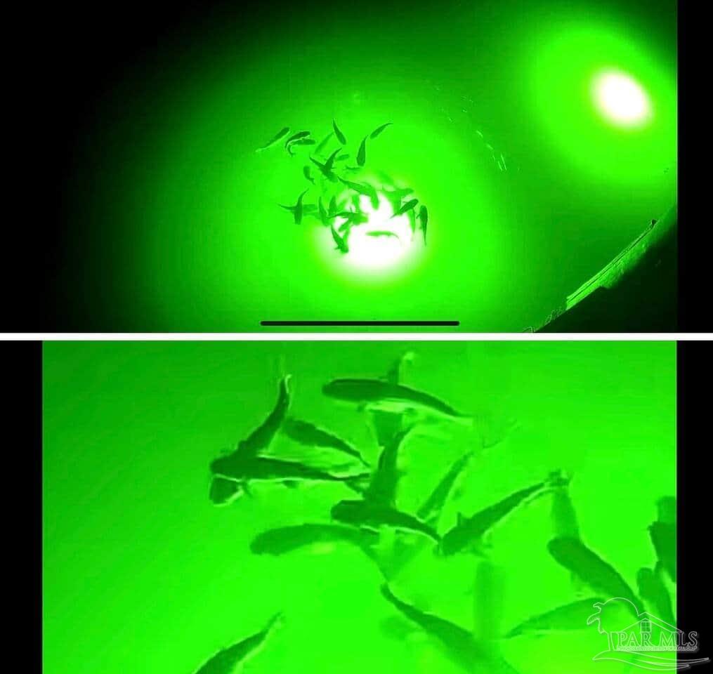 26326 Cotton Bayou Dr # 2