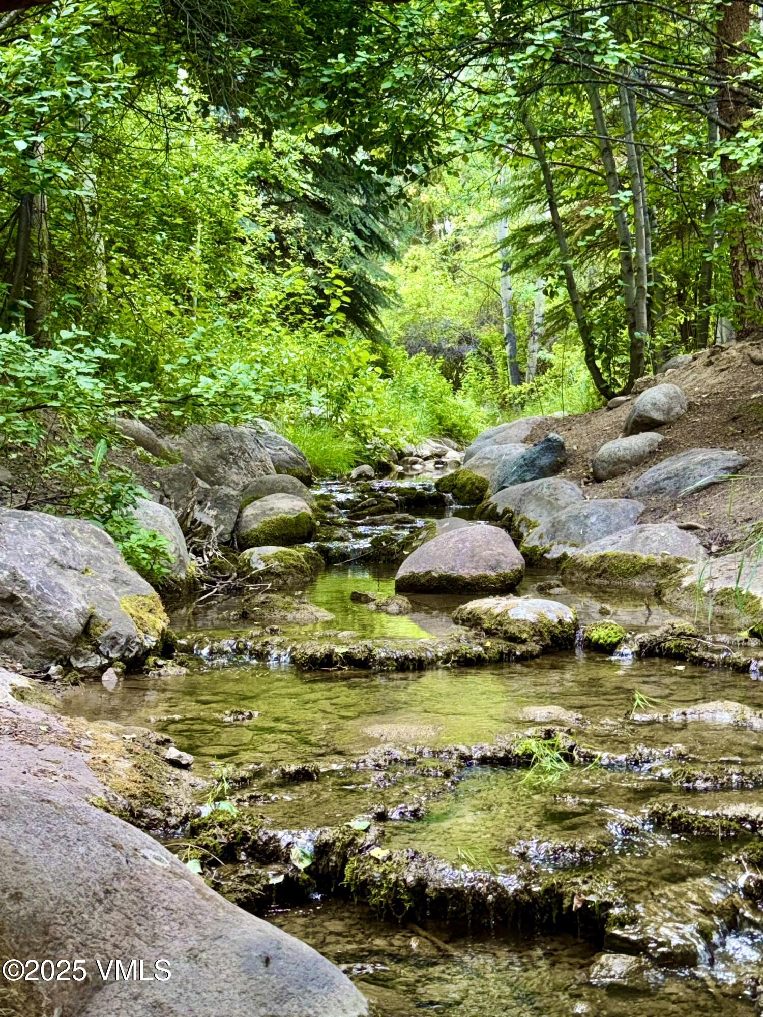 627 Sawatch Drive 205