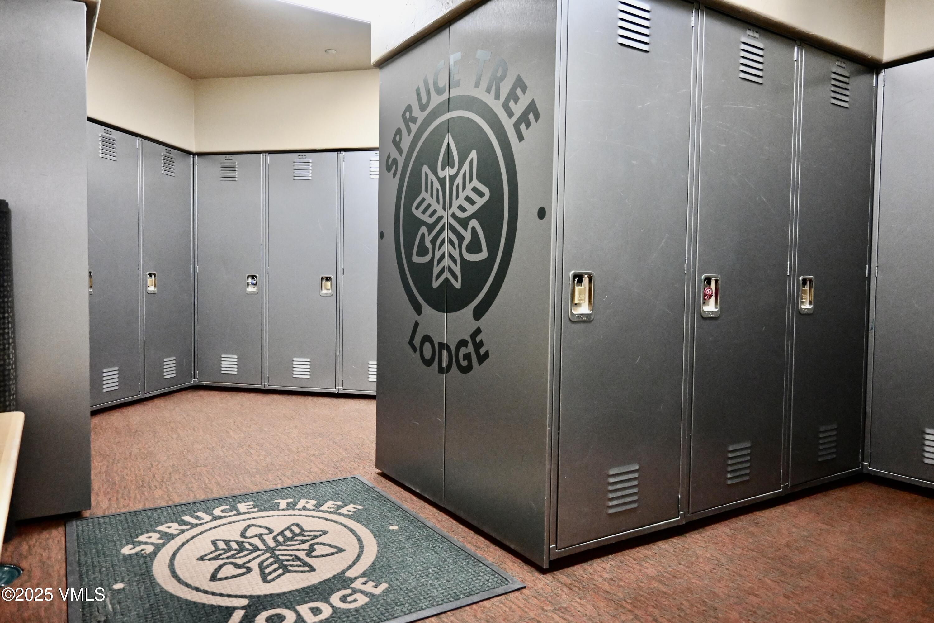 627 Sawatch Drive 205