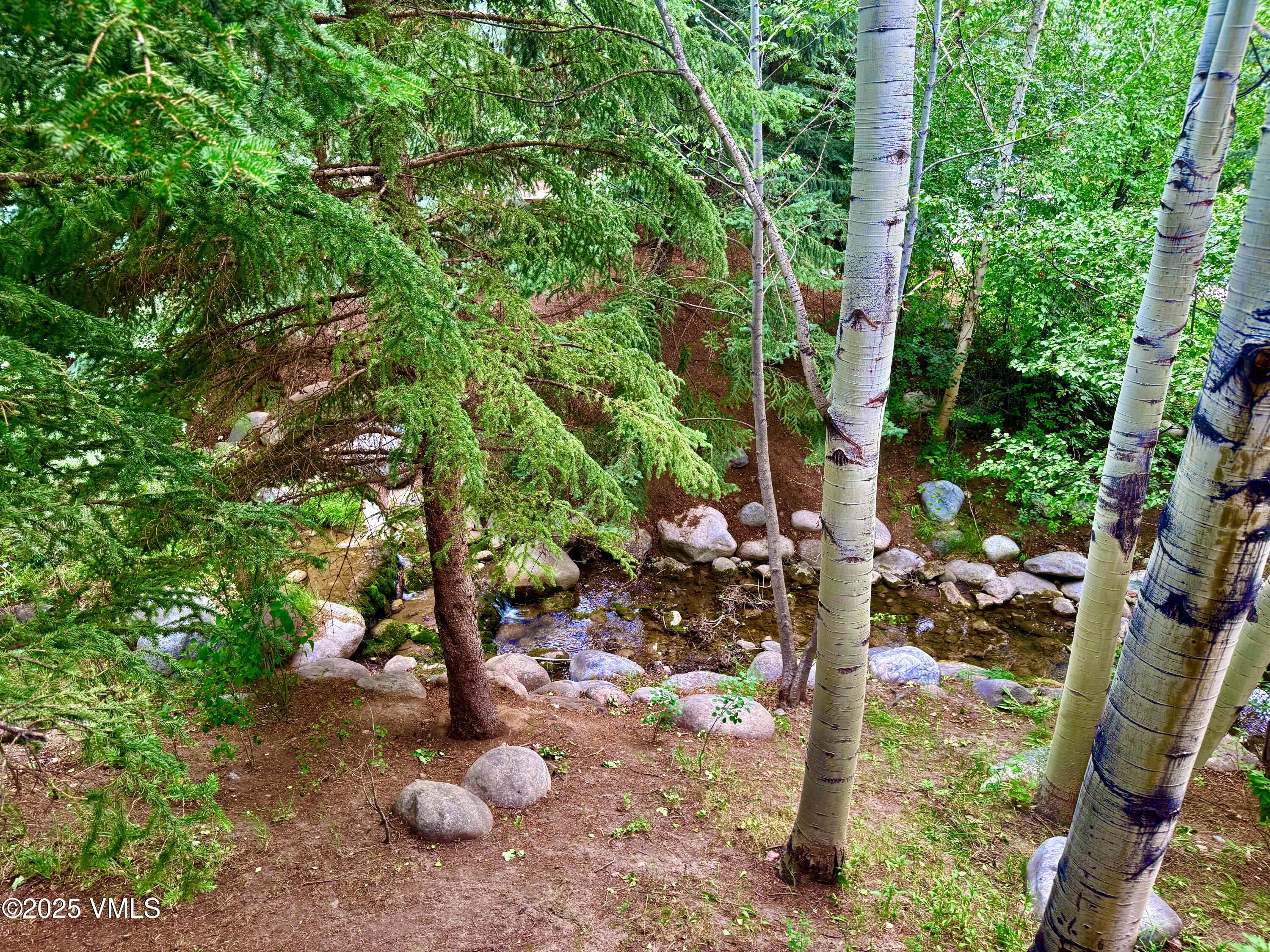 627 Sawatch Drive 205