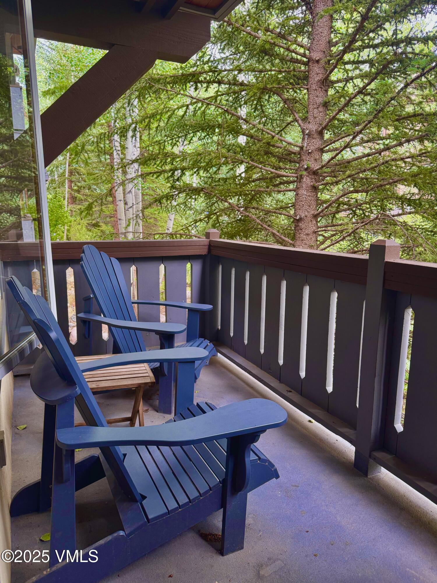 627 Sawatch Drive 205