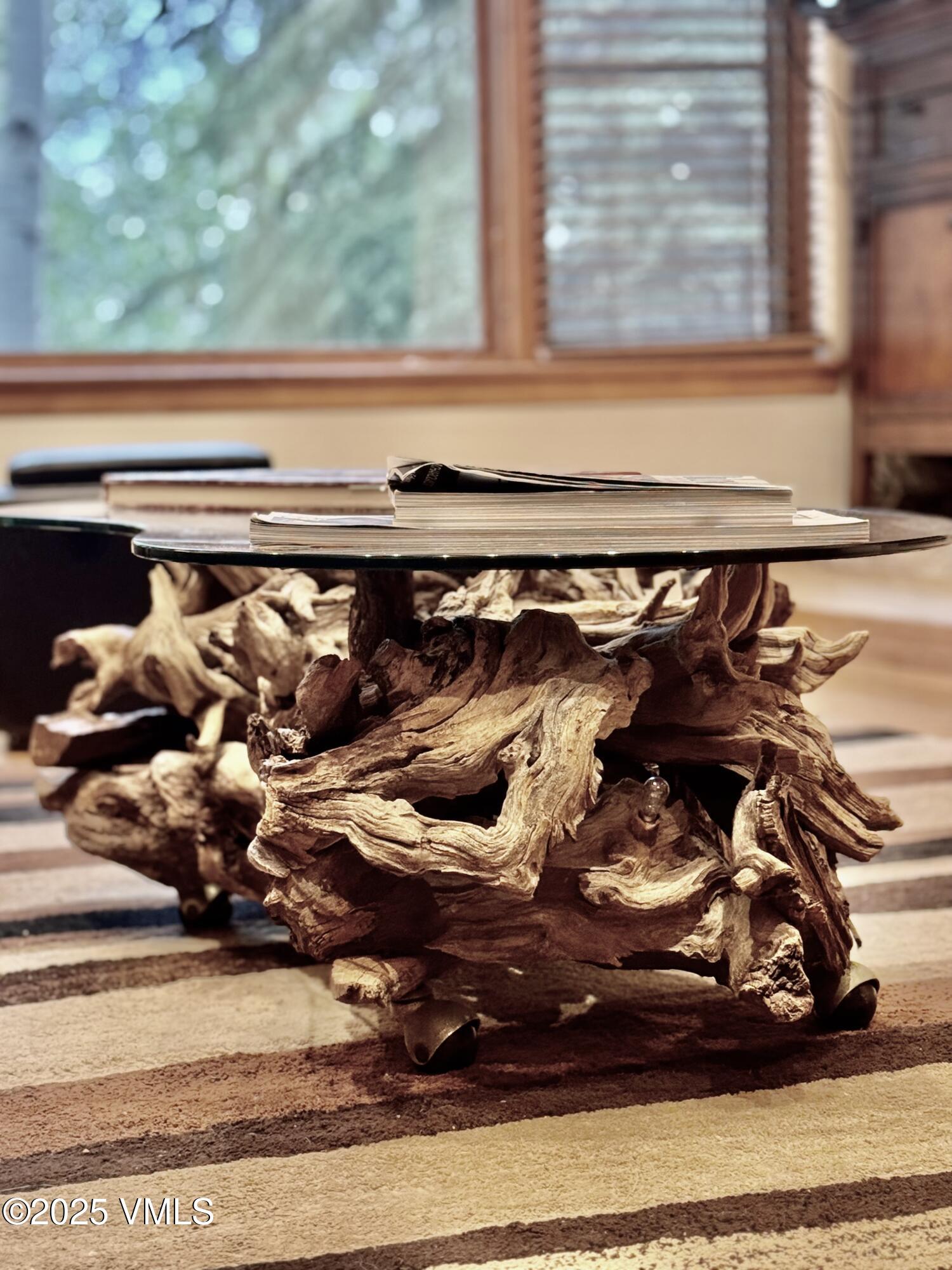 627 Sawatch Drive 205