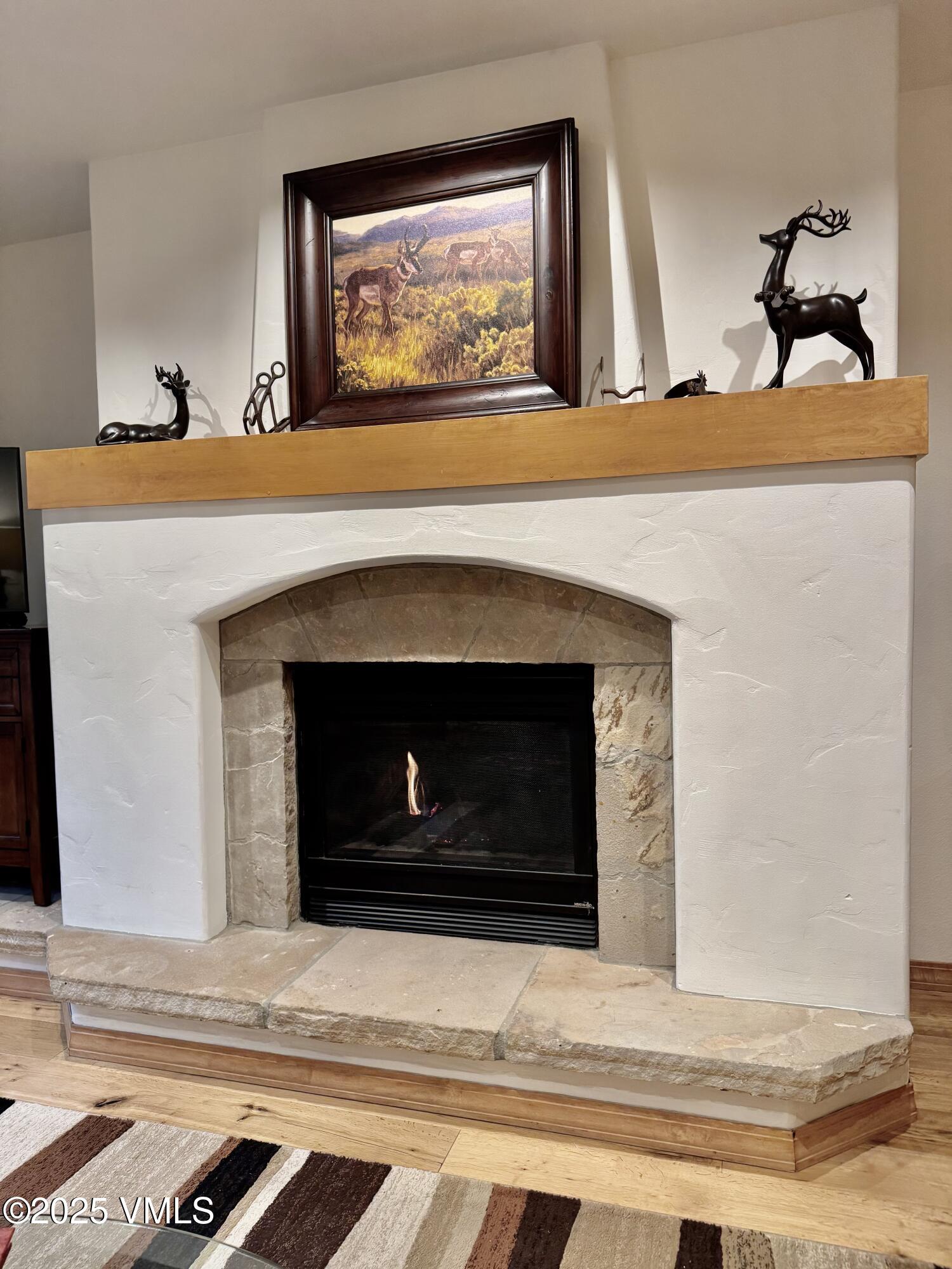 627 Sawatch Drive 205