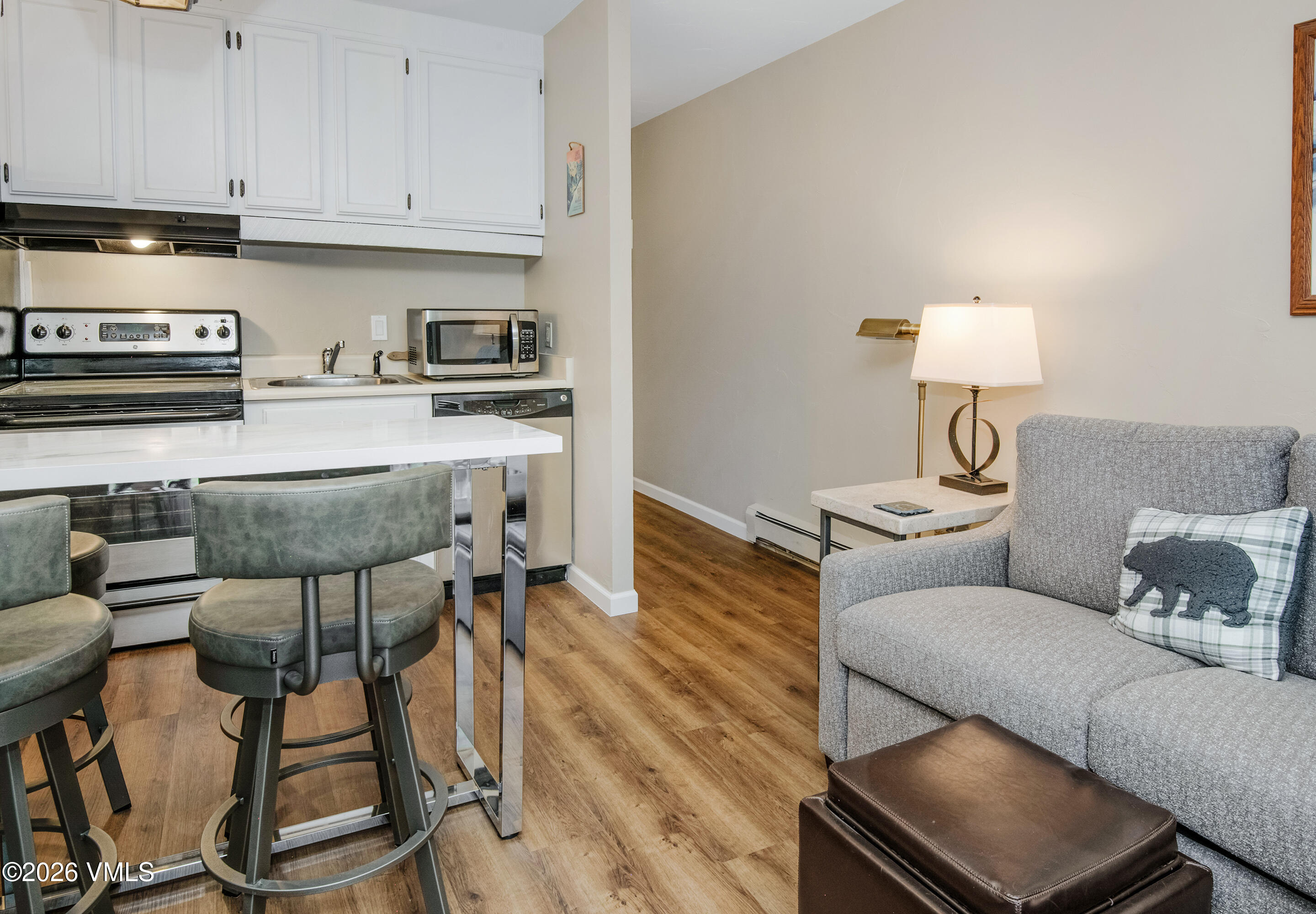 508 E Lionshead 208