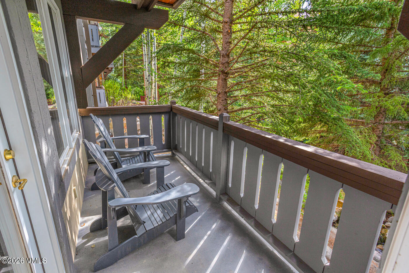 627 Sawatch Drive