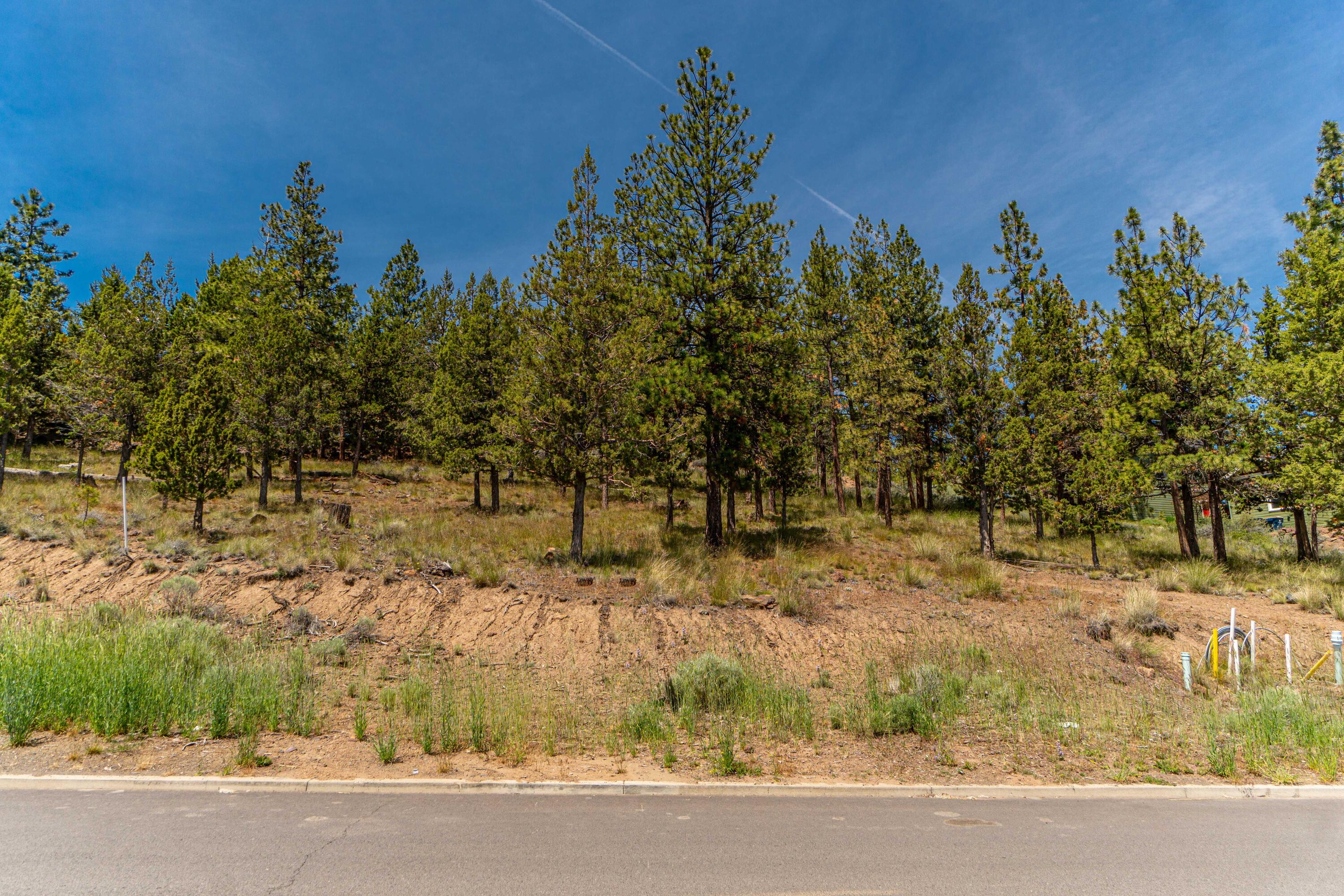 1738 SW Troon Avenue