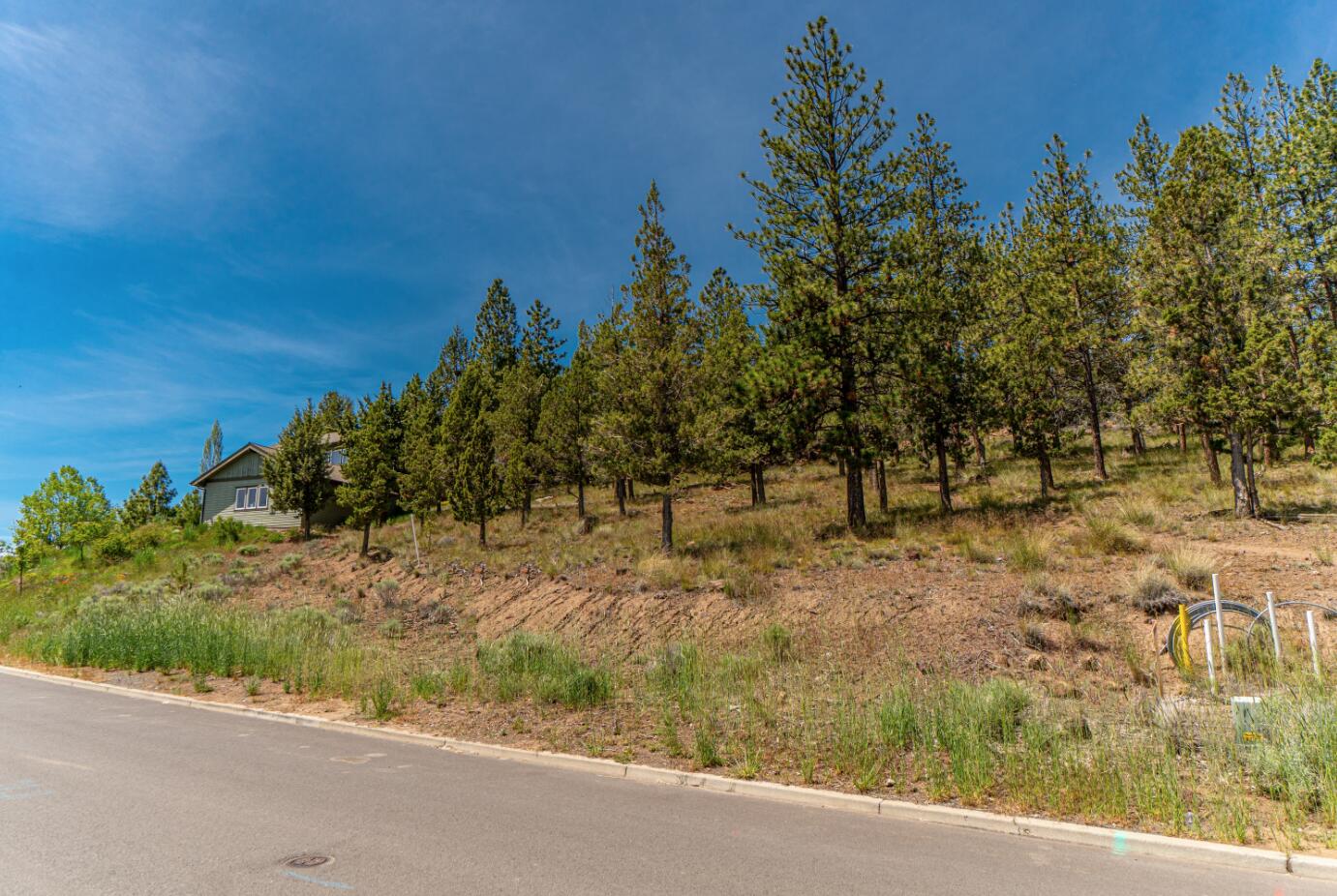 1738 SW Troon Avenue