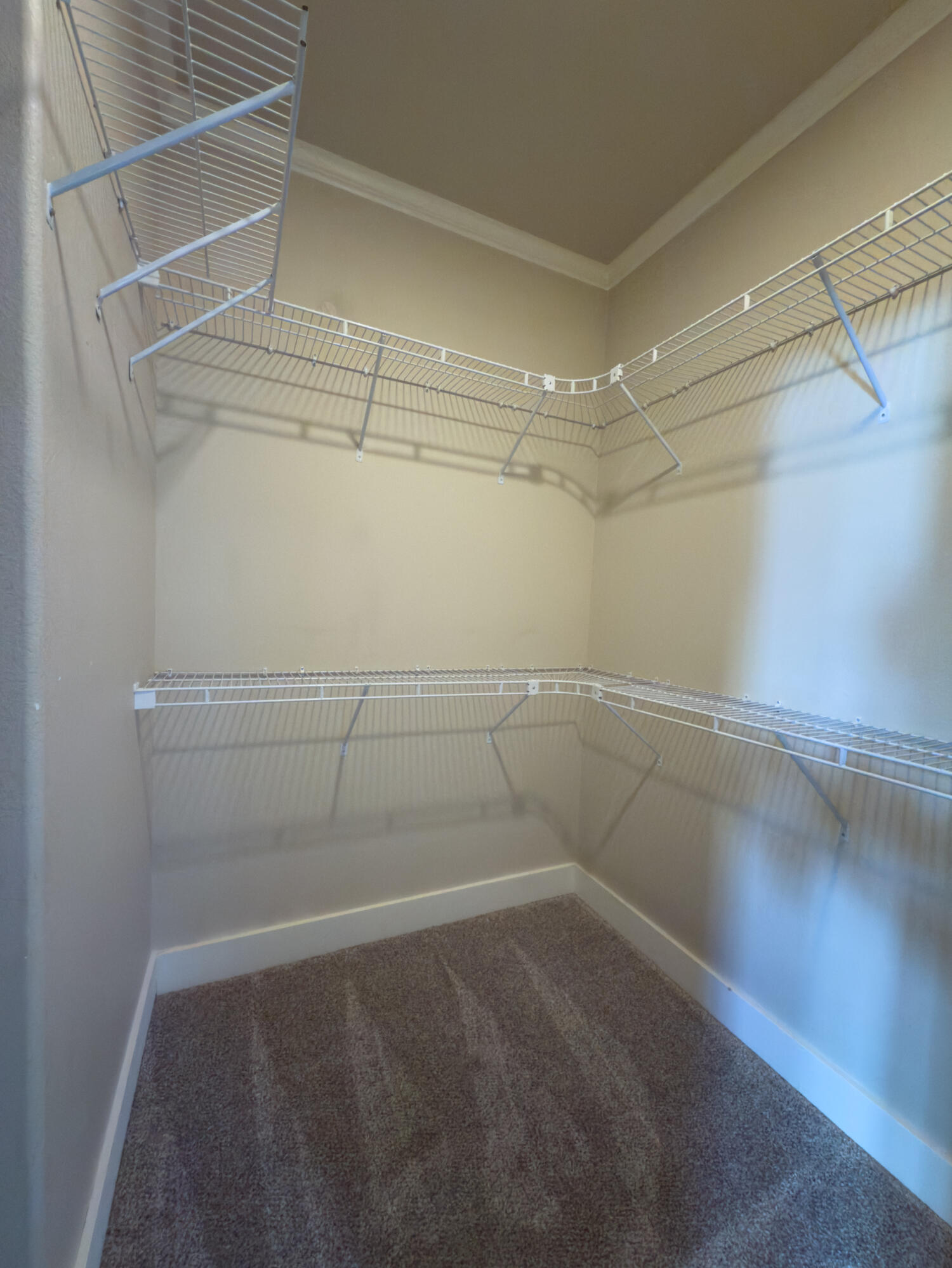 20120 Cirrus Court