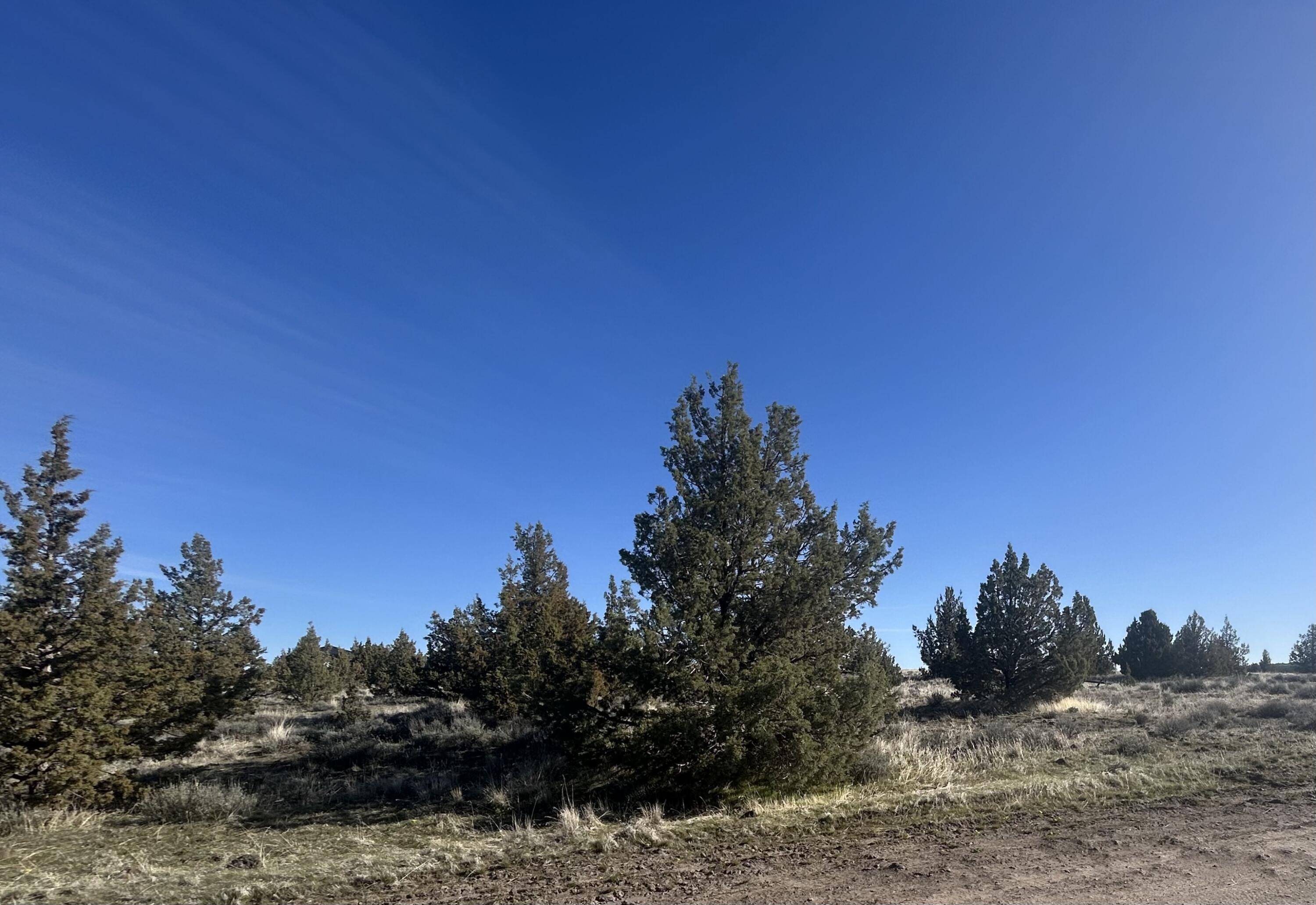 TL-0803 Ochoco Land&Livestock