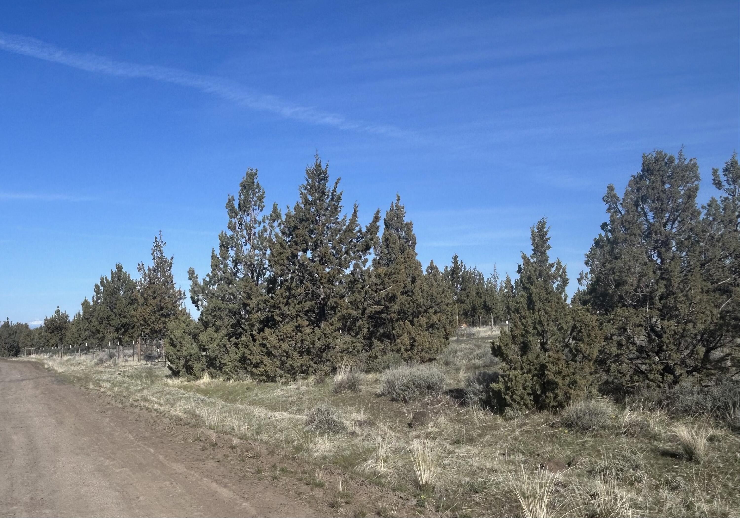 TL-0803 Ochoco Land&Livestock