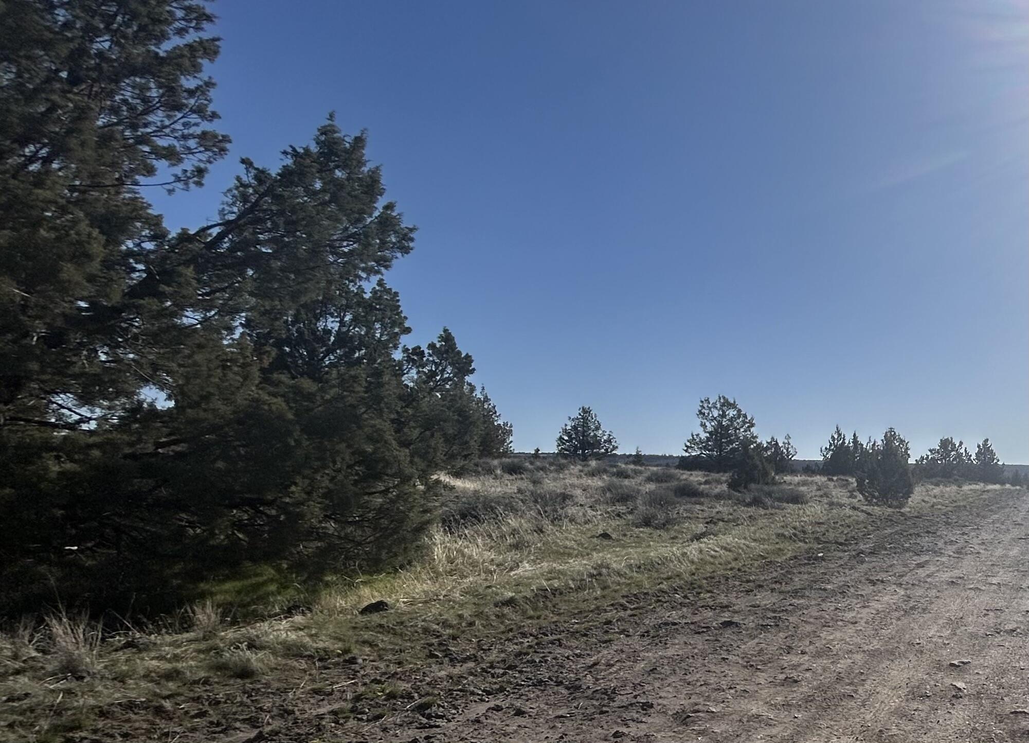 TL-0803 Ochoco Land&Livestock