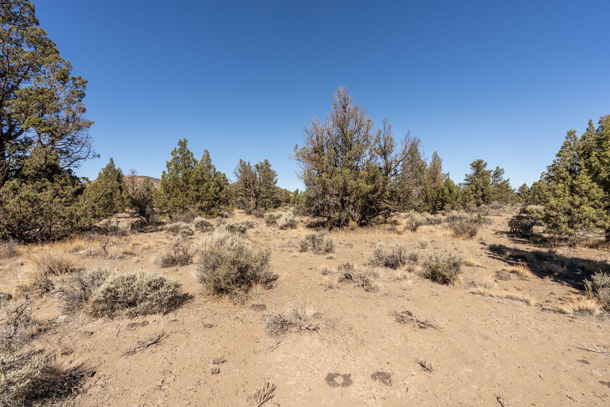 3375 SW 77th Street