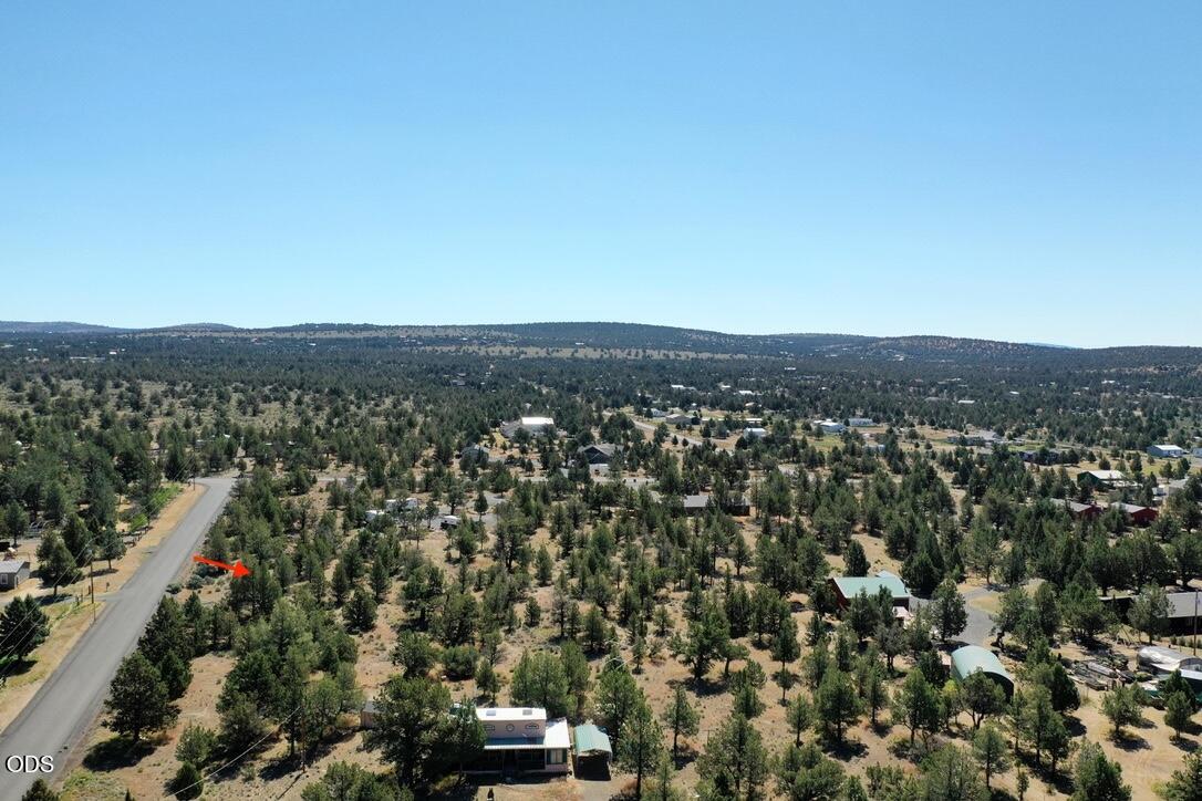 Aerial view of a vacant, tree-dotted lot marked by a red arrow beside a paved road.