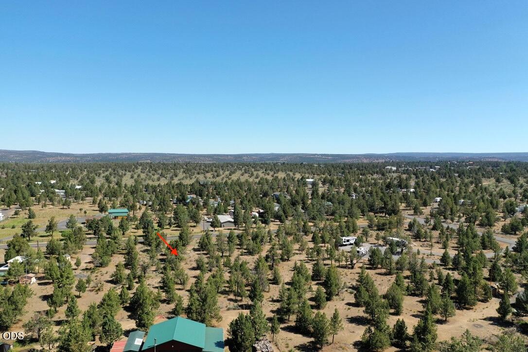 Aerial view of a tree-dotted vacant lot marked by a red arrow among scattered homes.