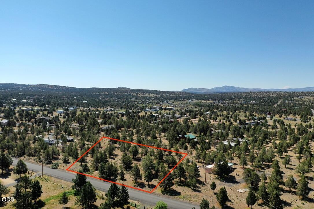 Tree-dotted vacant lot outlined in red beside a road, with distant hills.