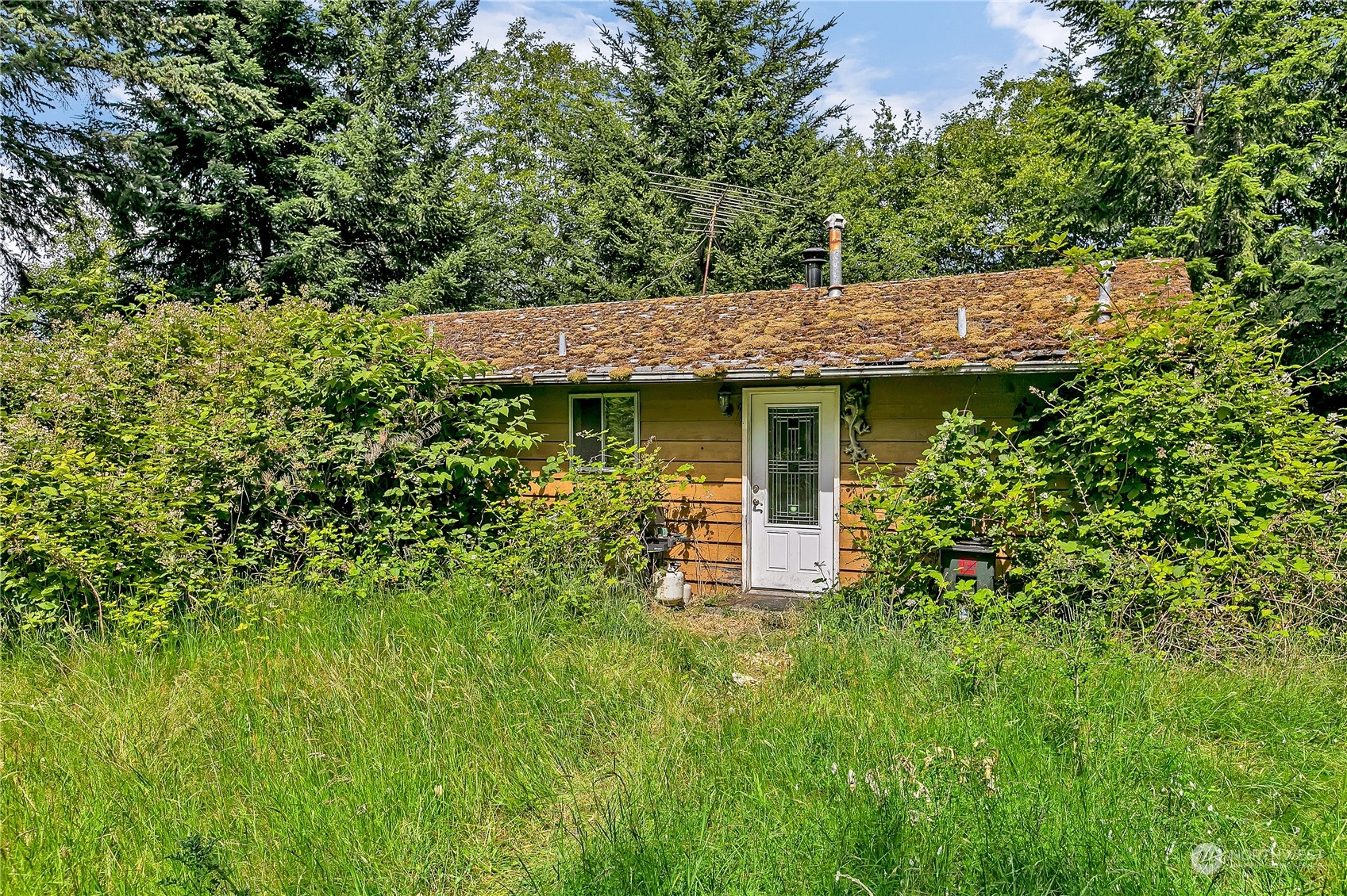 1151 Leschi Drive
