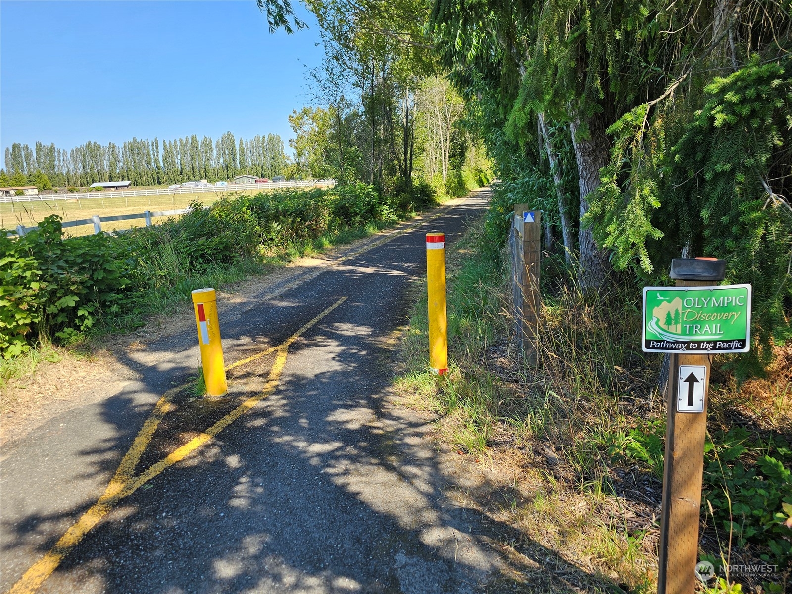 184 Trailside Drive