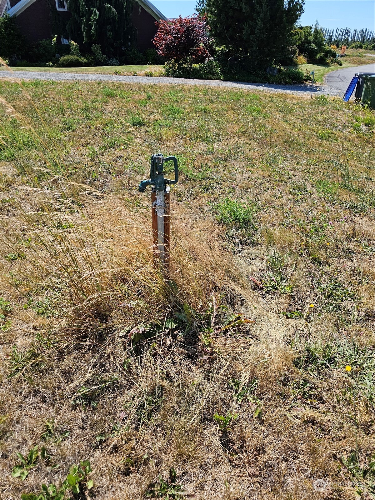 184 Trailside Drive
