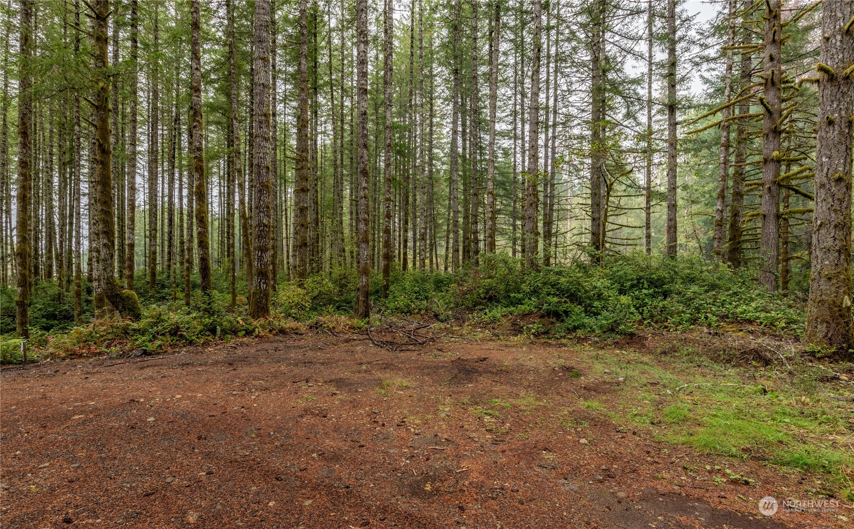 3285 Gold Creek Road W