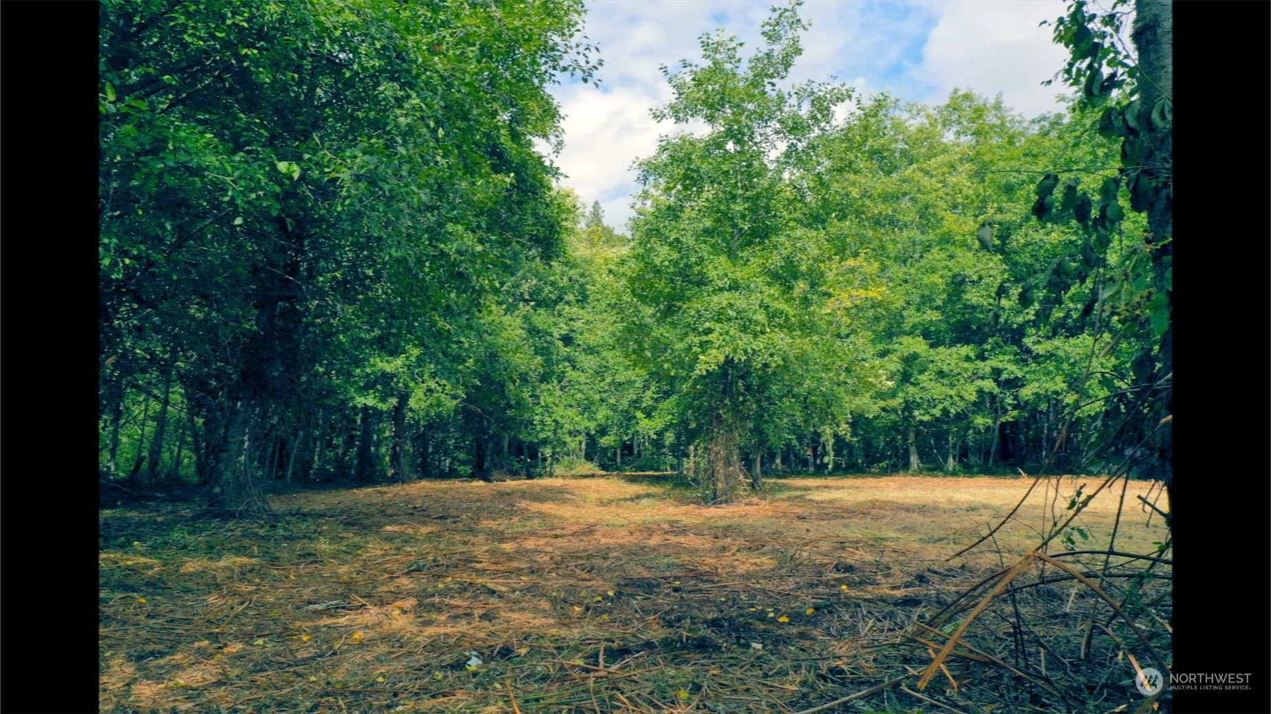 306 E Horton Road E