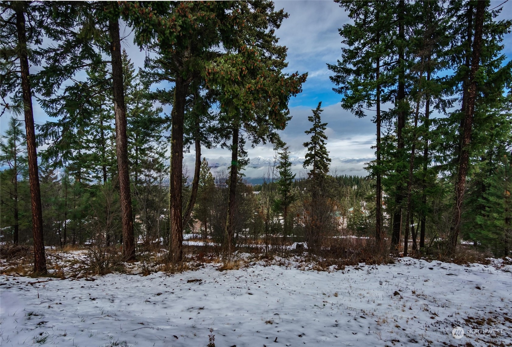 320 Palouse Road