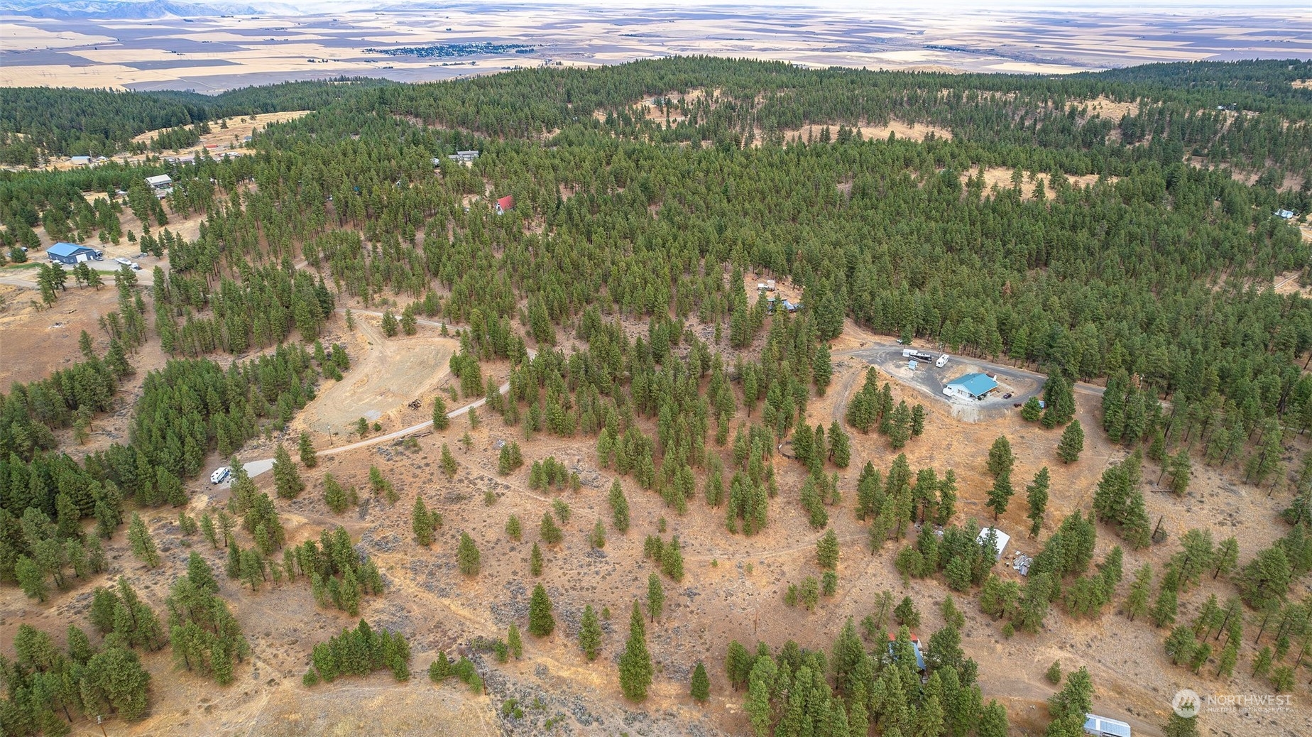 202 Pinewoods Way