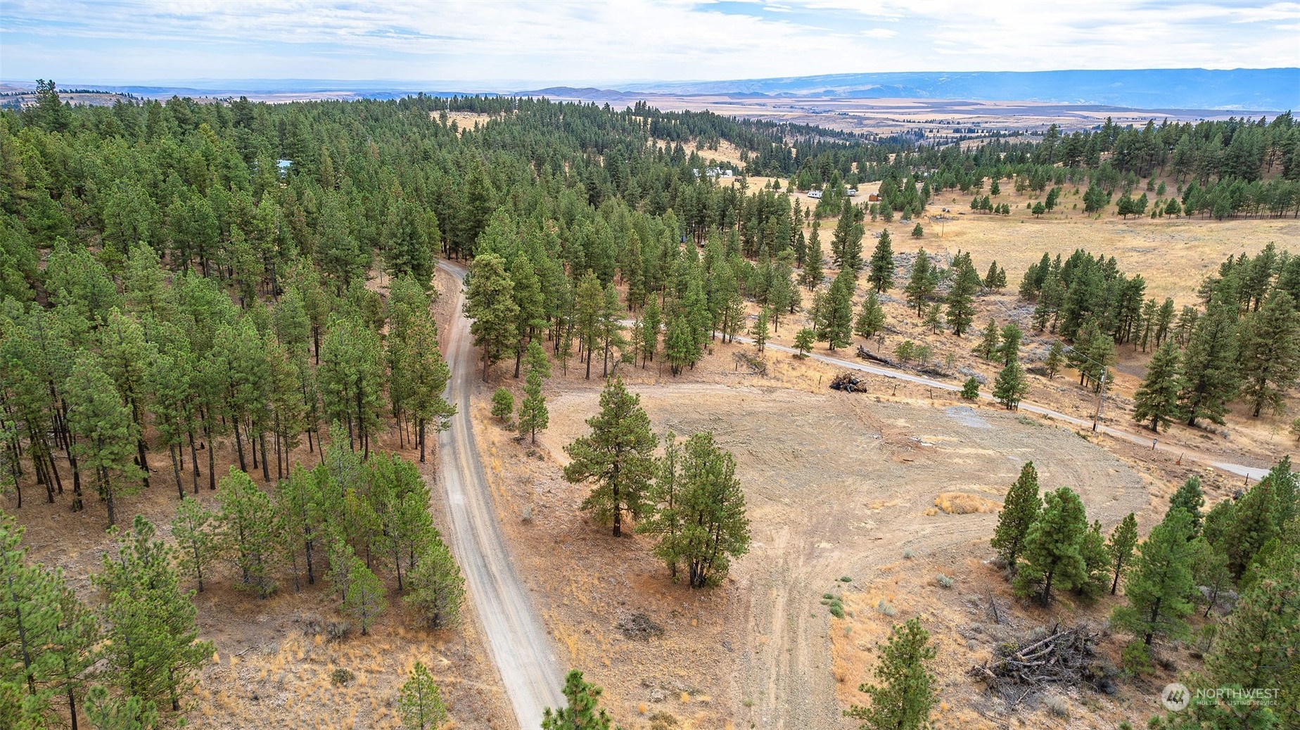 202 Pinewoods Way