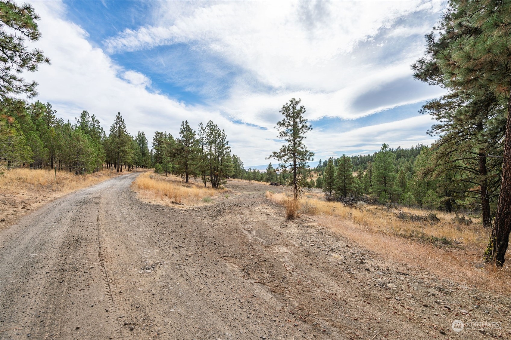 202 Pinewoods Way