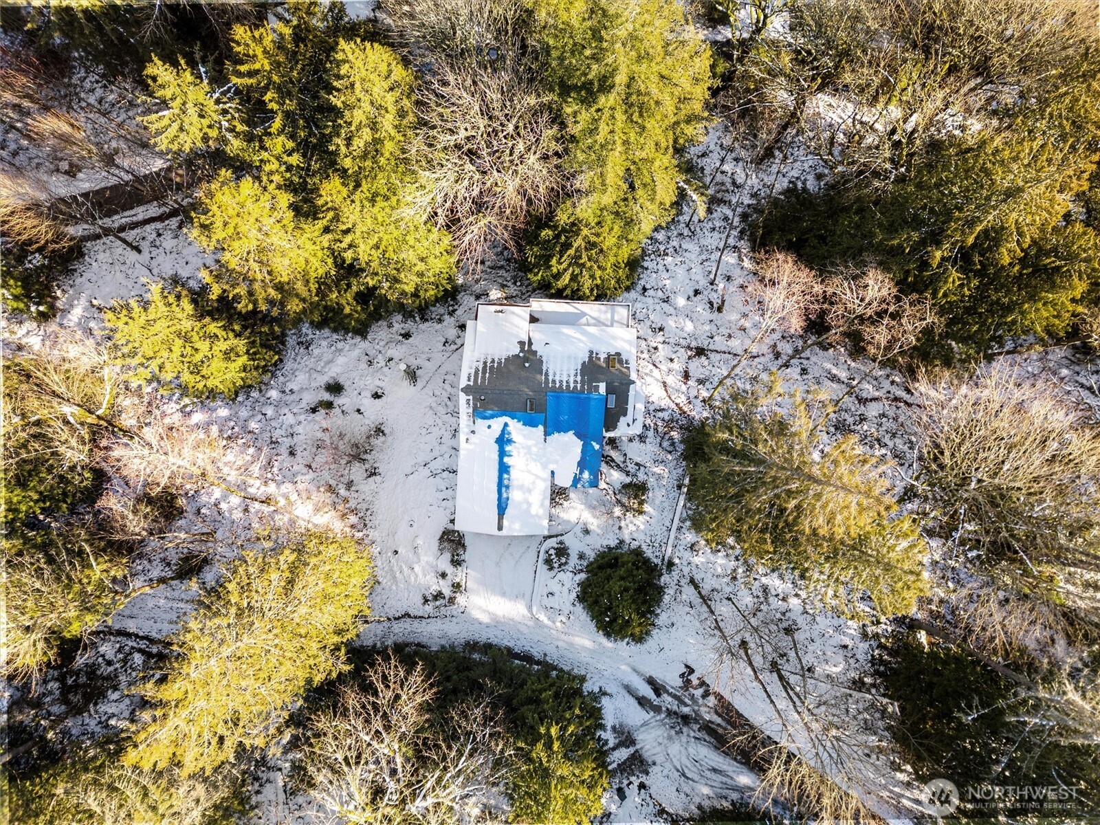 39 Inglewood Place