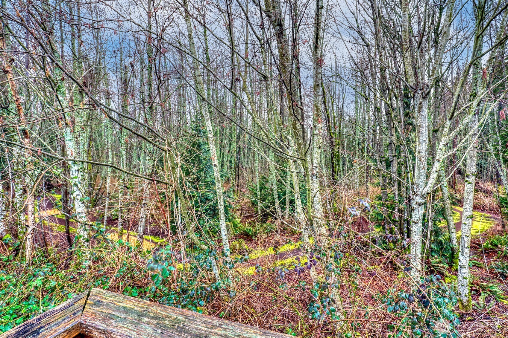 4704 Mount Baker Loop