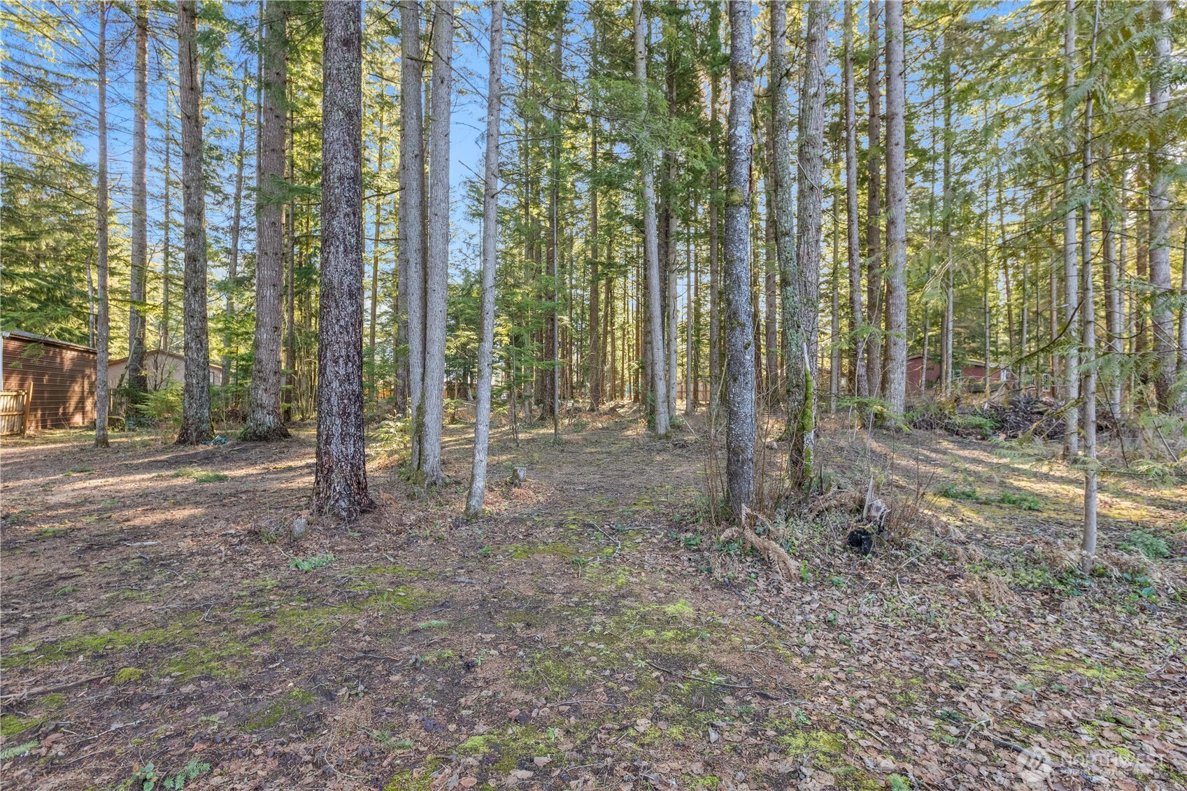 8668 Bell Court