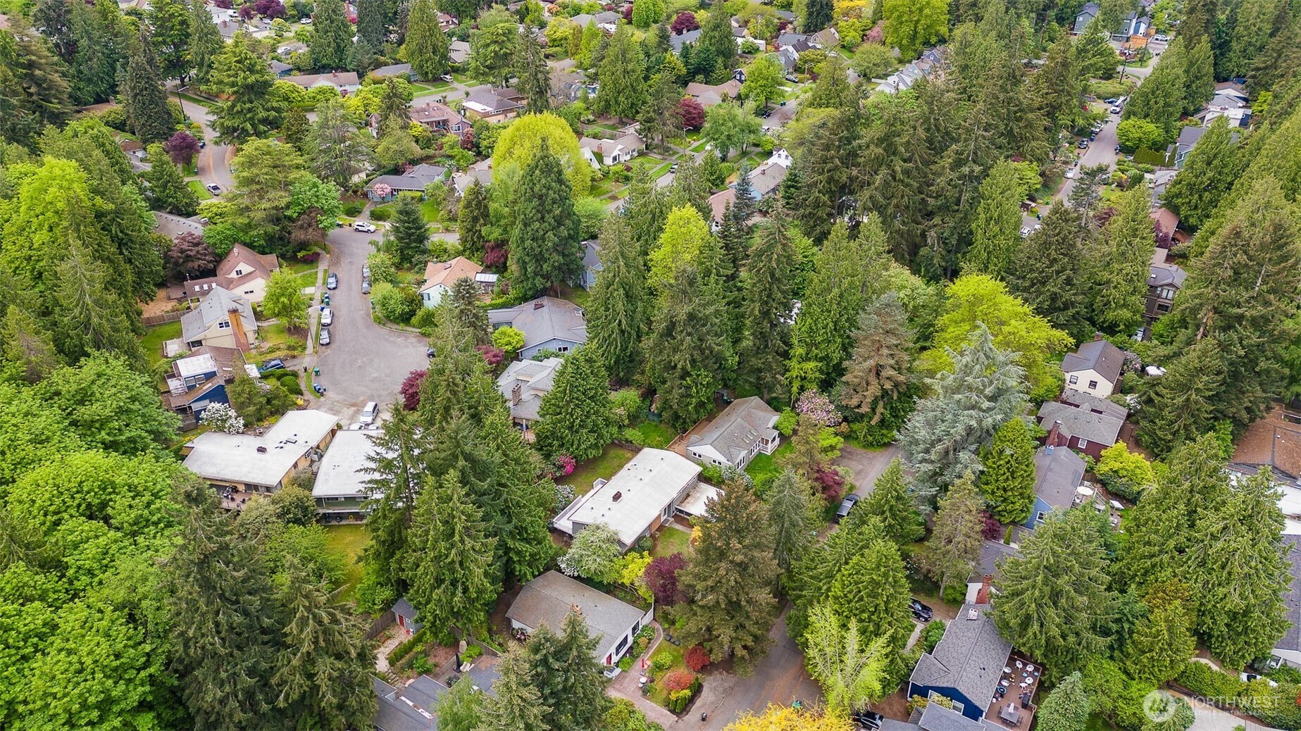 4225 NE 88th Street