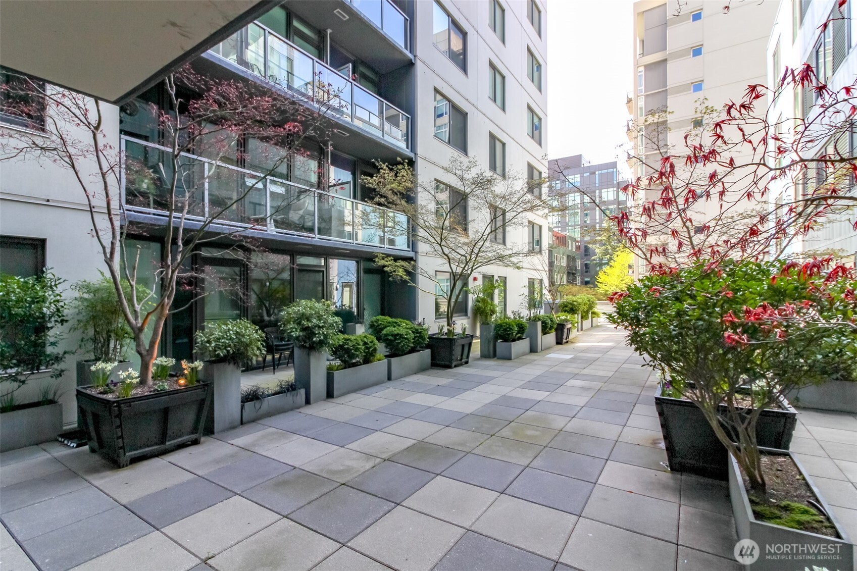 76 Cedar Street Unit: 207