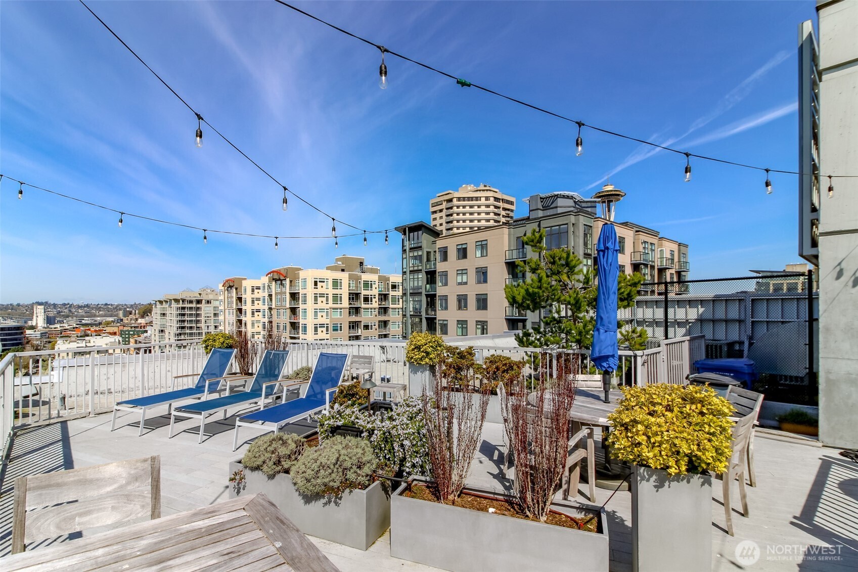 76 Cedar Street Unit: 207
