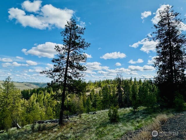 31280 Ruffed Grouse Drive E