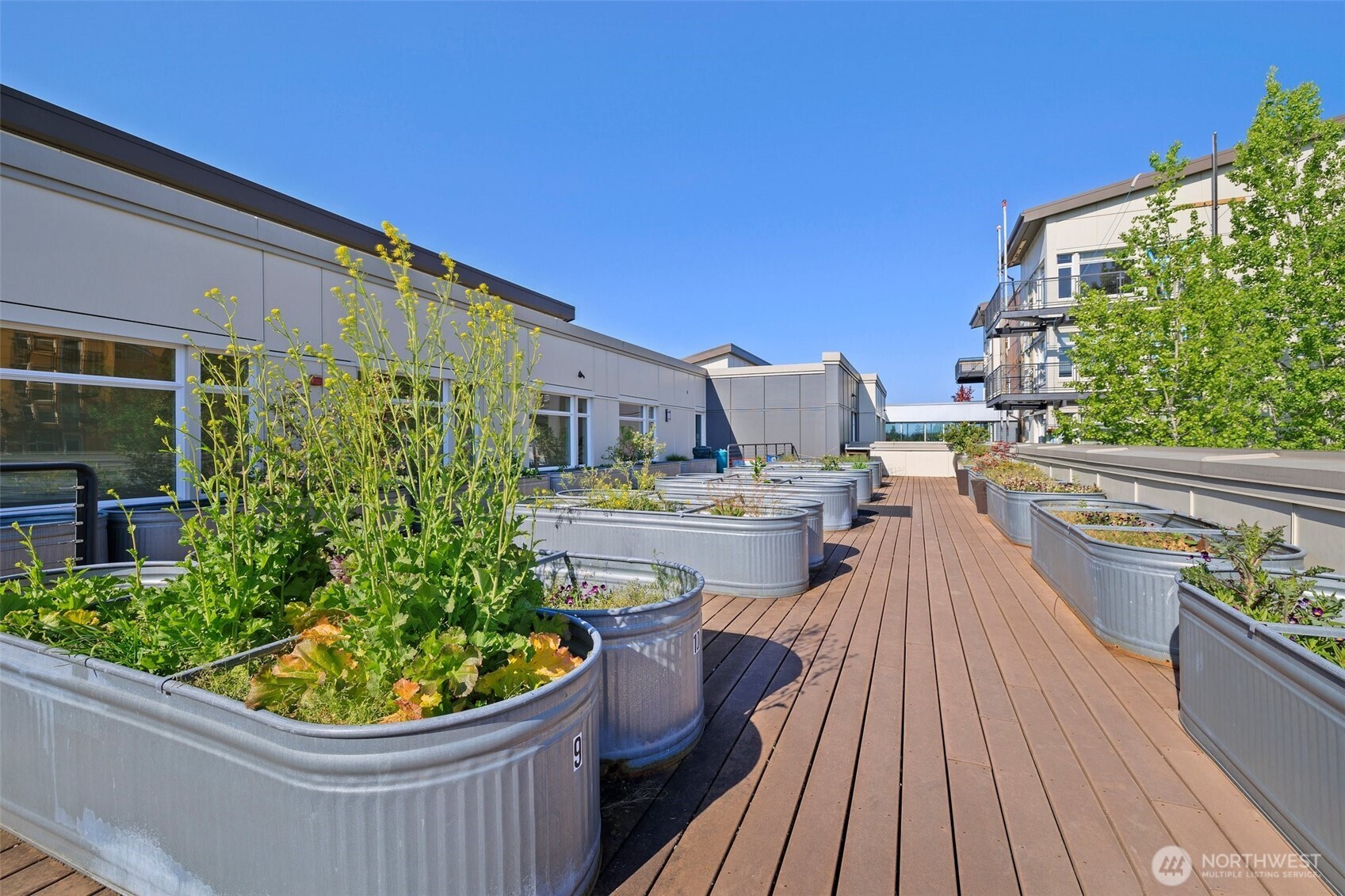 15100 6th Avenue SW Unit: 513