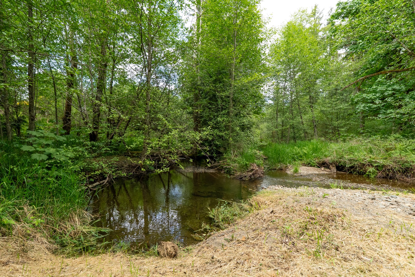 2018 Maple Valley Road SW