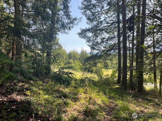 0 Elk Heights Trl