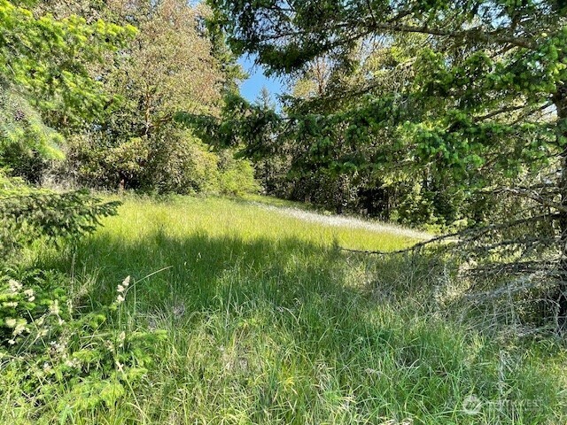 0 Elk Heights Trl
