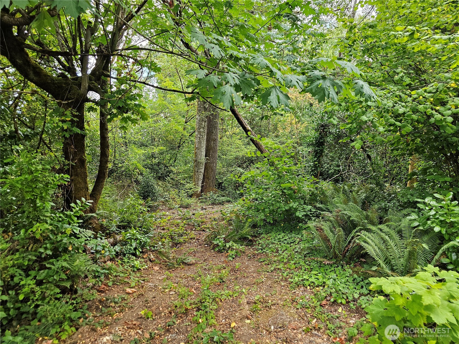 0 XXXX Libby Road NE