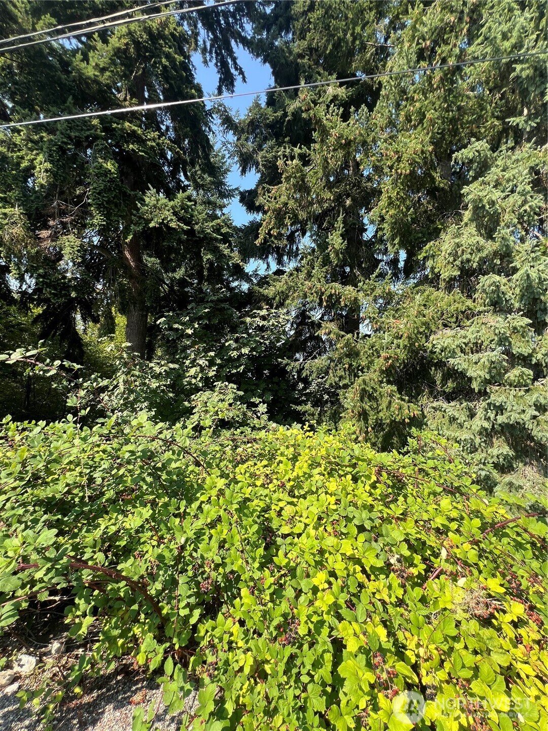106 XX macarthur lane