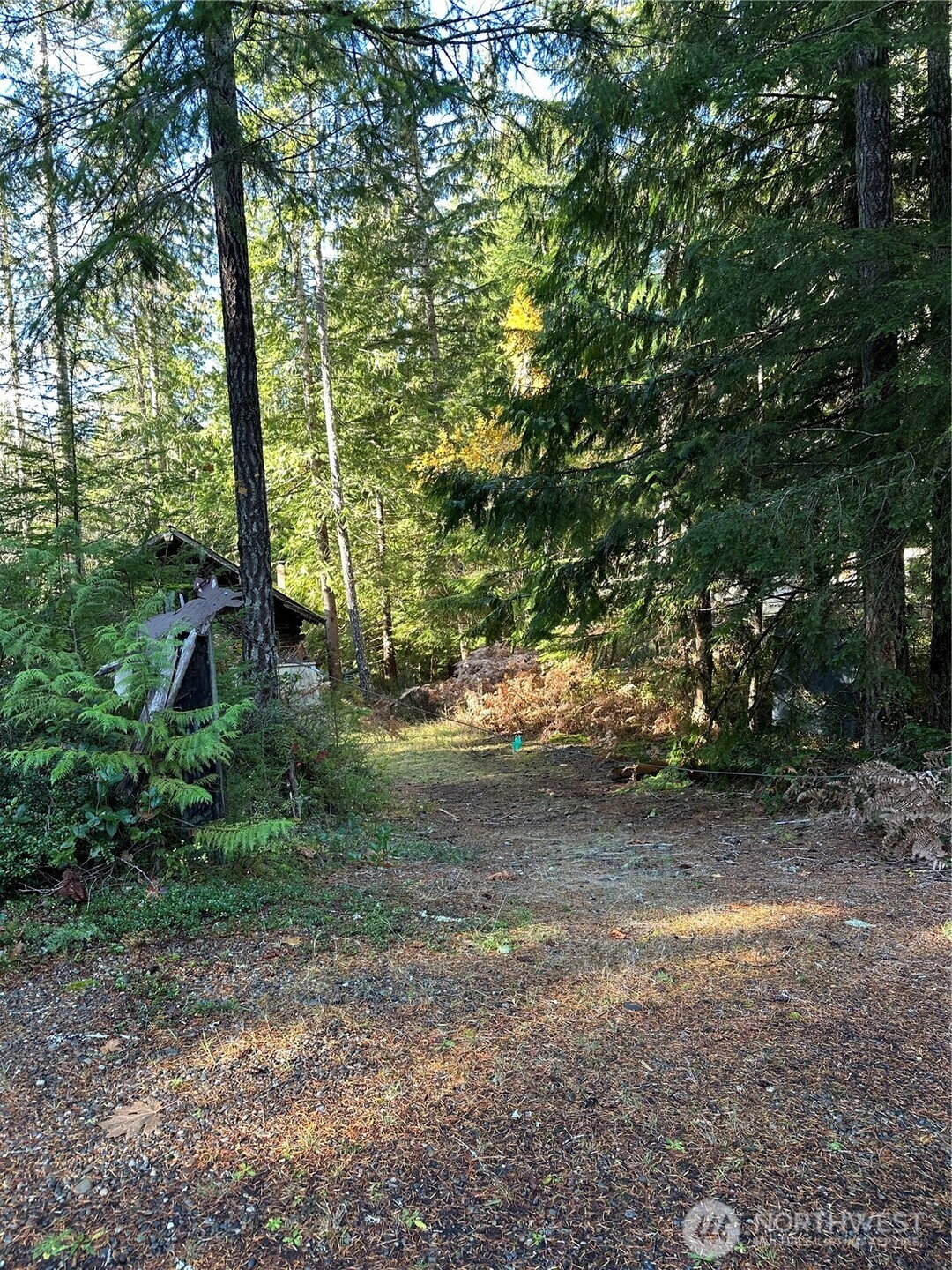 20 N Deer Court