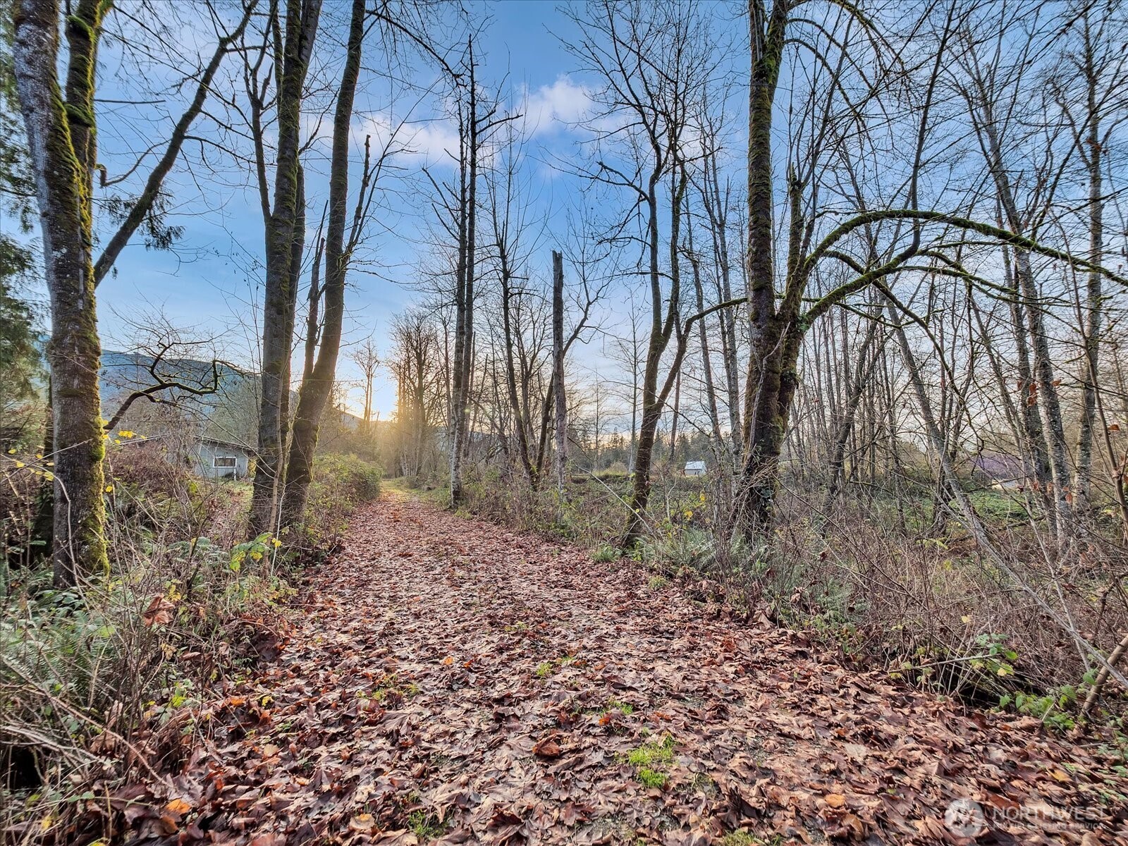10029 Warfield Road
