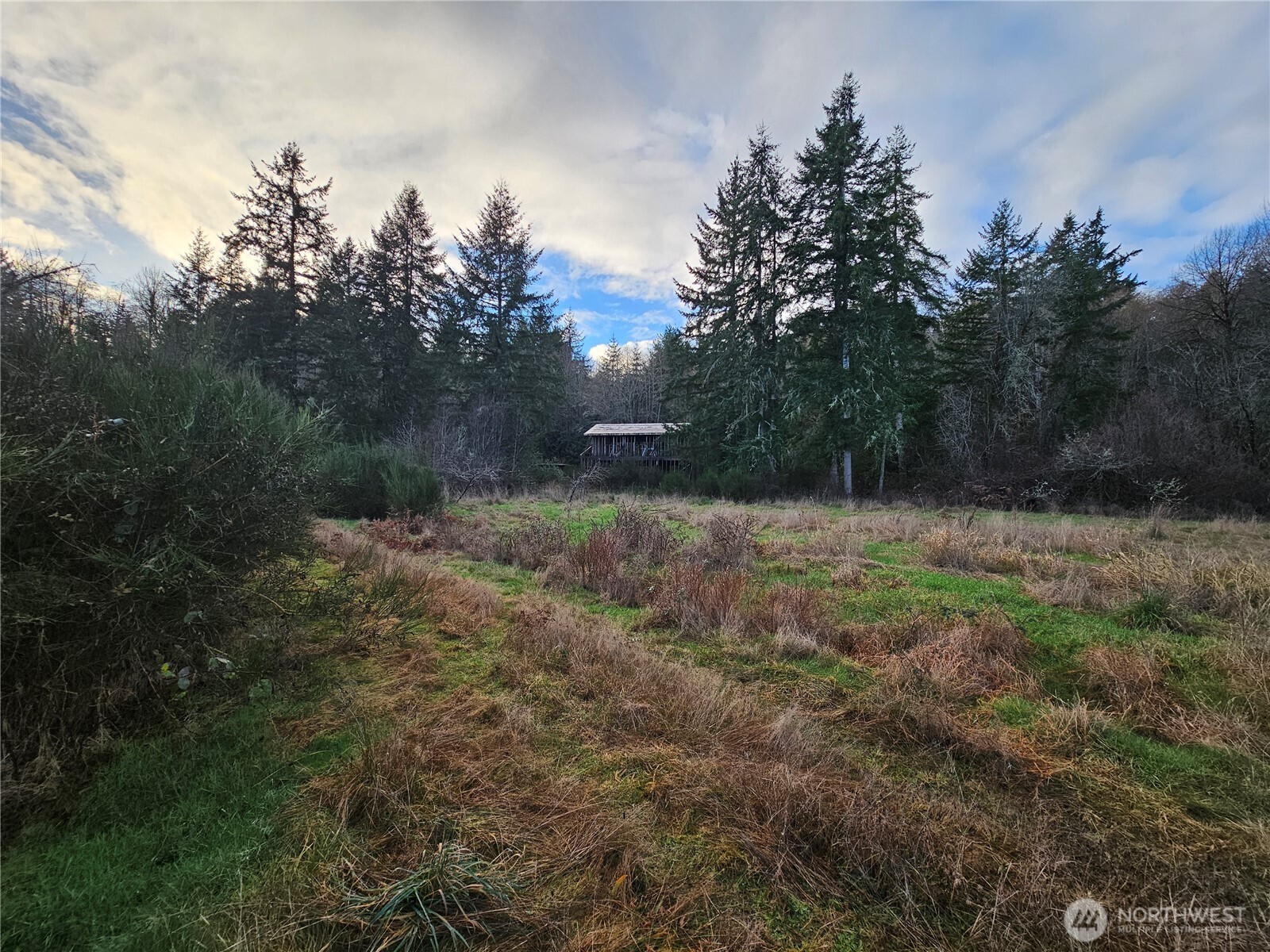 206 184th Avenue Ct NW