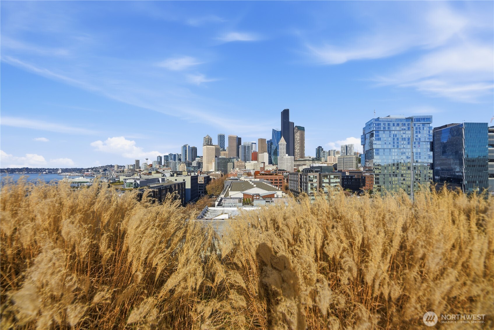 590 1st Avenue S Unit: 613