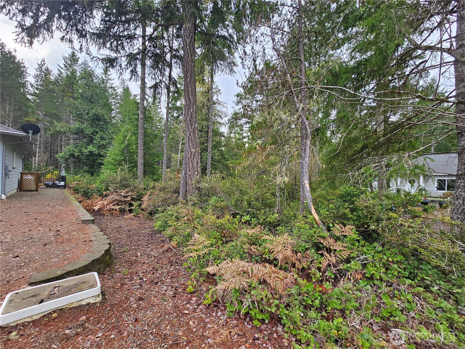 231 E Blackberry Lane