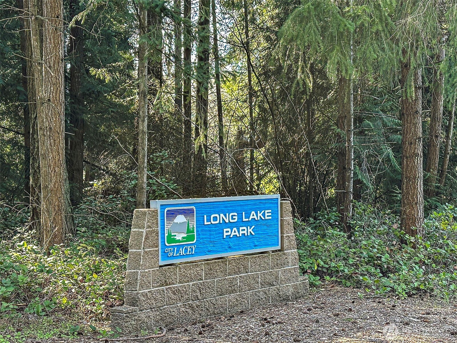 4317 Clearwater Loop SE